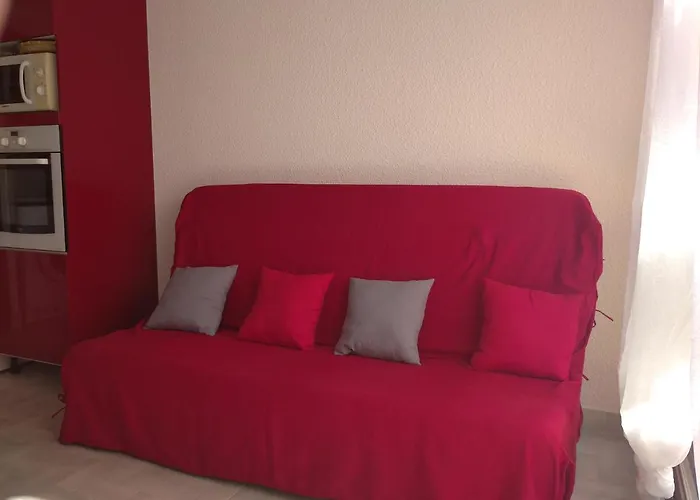 Le Neptuna 50 Metres Reservation Du Samedi Au Samedi En Haute Saison Apartment Agde